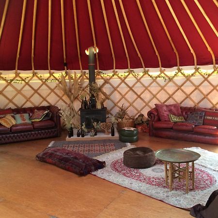 Silver Airstream Glamping & Rental Chichester Exteriör bild