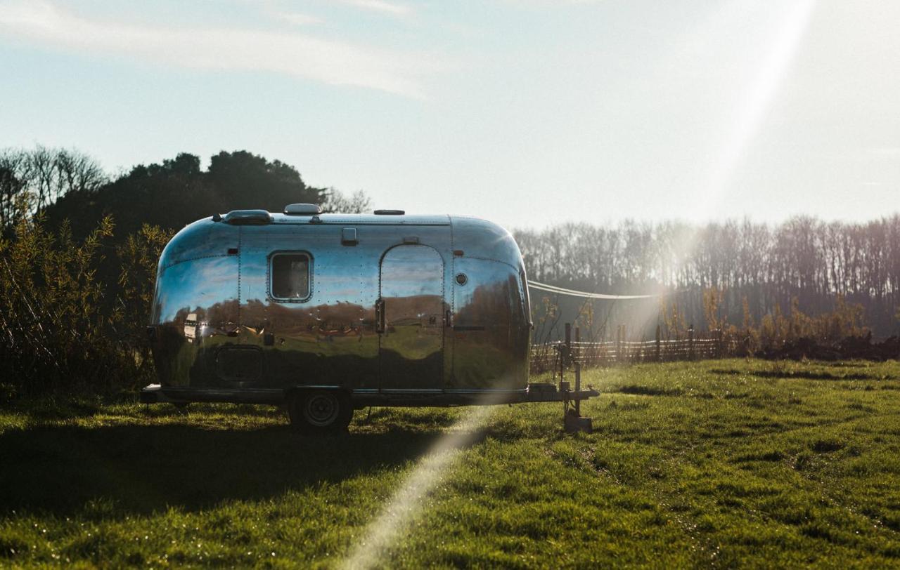 Silver Airstream Glamping & Rental Chichester Exteriör bild
