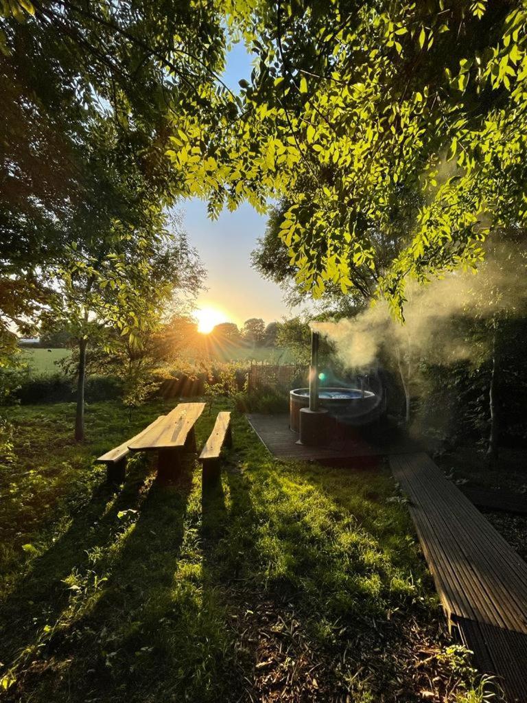 Silver Airstream Glamping & Rental Chichester Exteriör bild